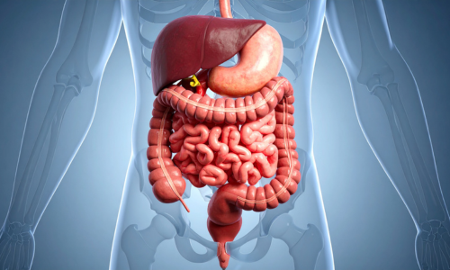 Adrenal Gland Problem